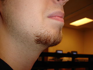 goatee goatee
